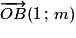 \overrightarrow{OB}(1\,;\,m)