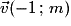 \vec{v}(-1\,;\,m)