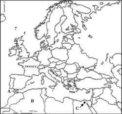 Euromed - illustration 2
