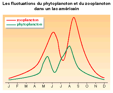 L'influence du milieu sur l'évolution des espèces - illustration 2
