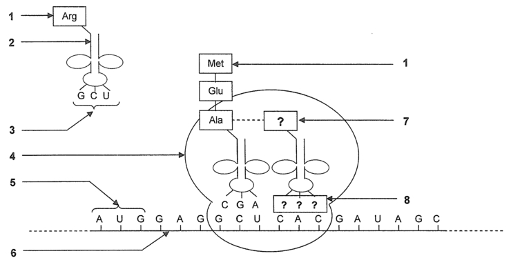 Fiche sequence st2s