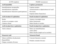 Structure du bilan fonctionnel de la société ... au ...
