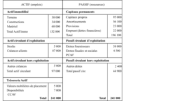 Bilan fonctionnel de l'entreprise Ténor au 31/12/2006