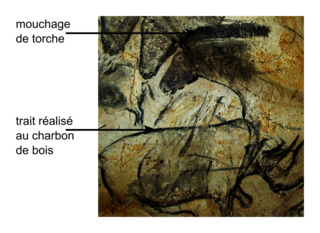 Exercice 2 : La datation des peintures rupestres de la grotte de Chauvet (10 points) - illustration 1