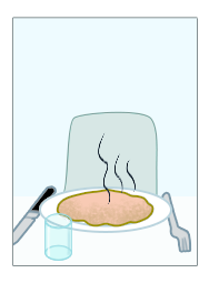 L'infinitif et les groupes de verbes - illustration 4