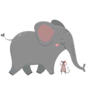 L'adjectif et son accord avec le nom - illustration 1