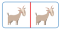 La symétrie - illustration 2