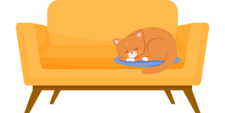 Lire et comprendre des phrases simples - illustration 1