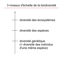 Les échelles de la biodiversité - illustration 1