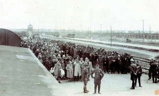 Photographie prise par des SS en mai-juin 1944 au moment de l'arrivée des Juifs de Hongrie au camp d'Auschwitz-Birkenau.