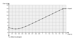 Évolution de la vitesse v du plongeur en fonction du temps t lors du plongeon (simulation)