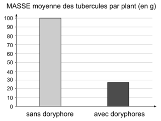 Sujet de métropole, juin 2025 - illustration 3