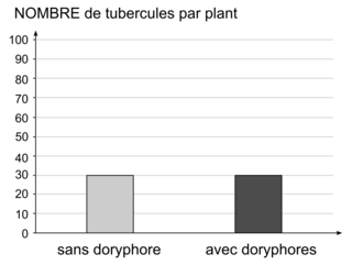Sujet de métropole, juin 2025 - illustration 4