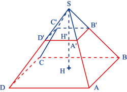 Déterminer la section d'une pyramide régulière par un plan parallèle à ...