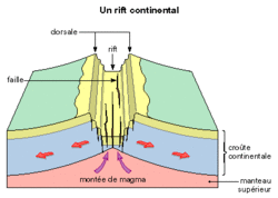 Les zones sismiques dans le monde et en France - illustration 2