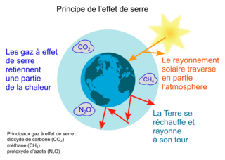 Le paquet de chips - illustration 2