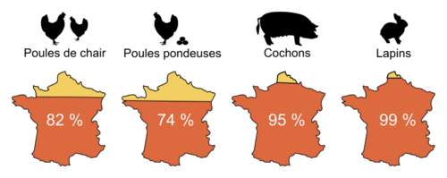 Les baskets - illustration 1