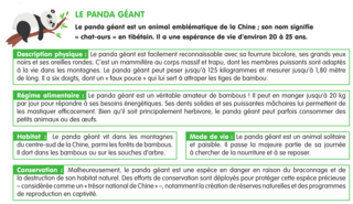 Lire un documentaire - illustration 1