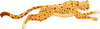 Distinguer synonymes et antonymes - illustration 1