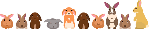 Multiplier un nombre entier par 10, 100, 1 000, 20, 30 - illustration 1
