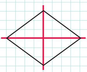 Droites et segments - illustration 2