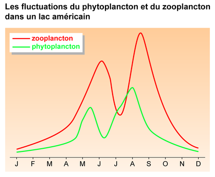 Les fluctuations du phytoplancton et du zooplancton dans un lac - illustration 1