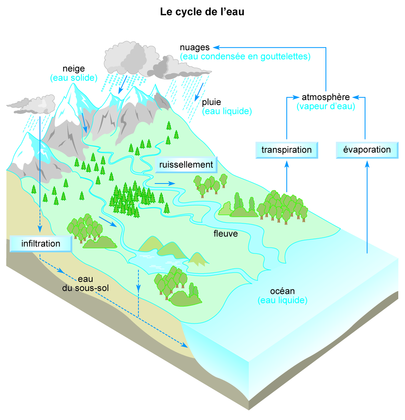Le cycle de l'eau - illustration 1
