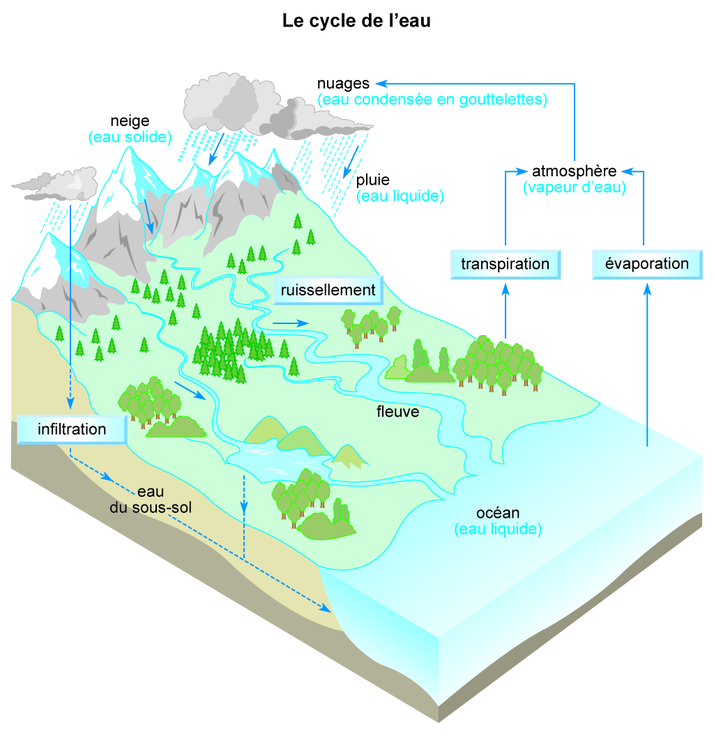 Image 6sce0702 - Le Cycle De L'eau - Base Documentaire En Sciences ...