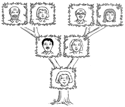 Un arbre généalogique - illustration 1
