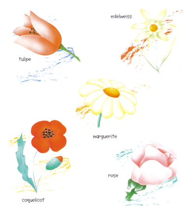 Les fleurs des climats tempérés - illustration 1
