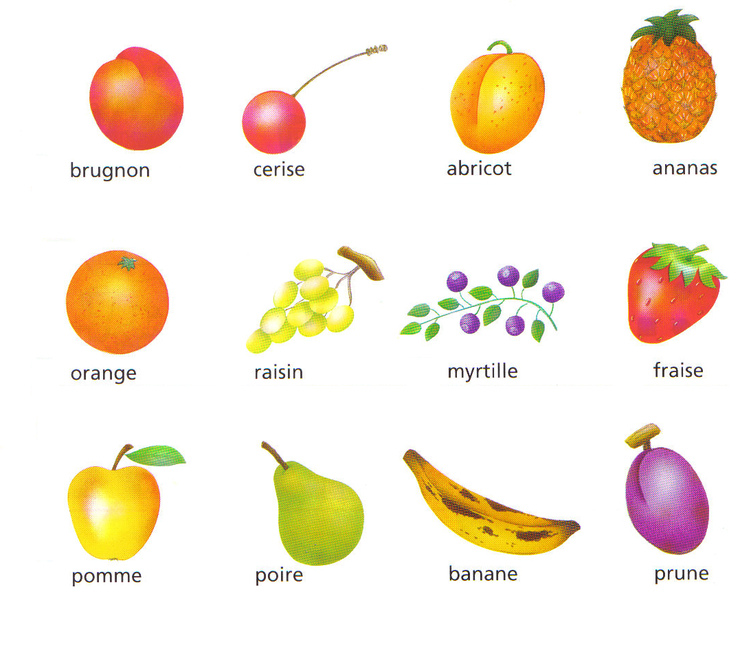 Les différents fruits (3) Assistance scolaire personnalisée et