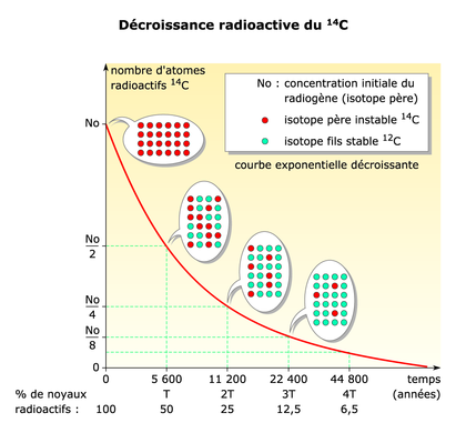 La décroissance radioactive du carbone 14 - illustration 1
