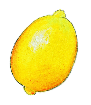 Le citron