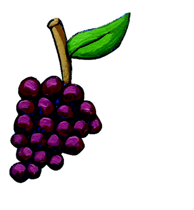 Le raisin