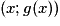 (x;g(x))