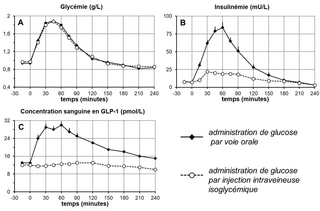 Évolution de plusieurs paramètres physiologiques après administration orale ou perfusion intraveineuse isoglycémique de glucose