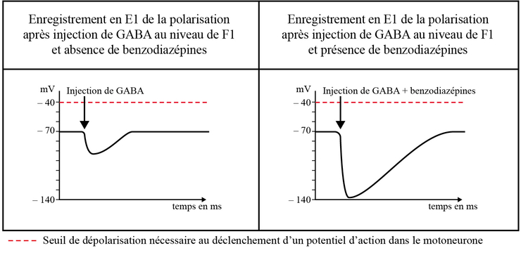 Comme on transmet lalcoolisme selon la génétique