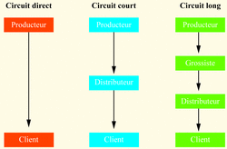 Circuit court de distribution